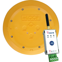 AES E-Loop Wireless Vehicle Detection | Commercial - Exit