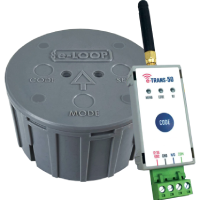 AES E-Loop Wireless Vehicle Detection | Commercial - Presence