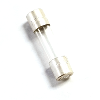 FAAC Fuse .25 Amp