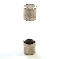 Liftmaster Fuse | 1 Amp