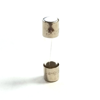 Liftmaster Fuse | 2 Amp