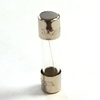 Liftmaster Fuse | 3 Amp