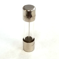 Liftmaster Fuse | 15 Amp