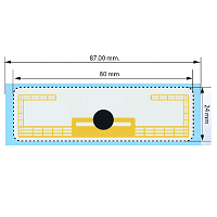 Infinity RFID Archer Tag | Universal